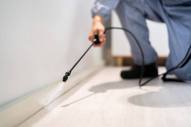 Certified termite inspector examining foundation in Pass Christian